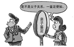 黑龙江匿名亲子鉴定收费标准，黑龙江隐私亲子鉴定服务详解