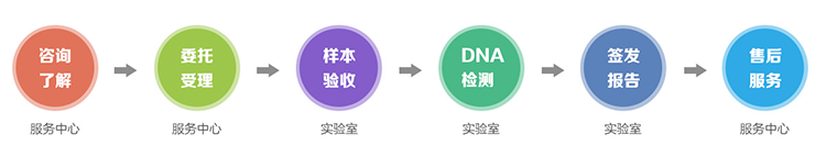 黑龙江隐私亲子鉴定流程